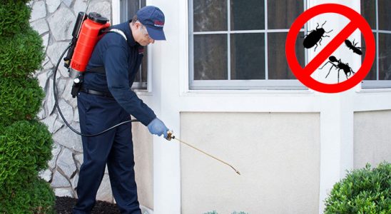 Bozkır Fare İlaçlama böcek ilaçlama ve haşere kontrolü — ilaclama-tr.com